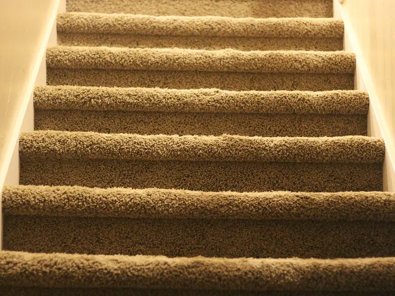 Trap die volledig met beige tapijt is gestoffeerd